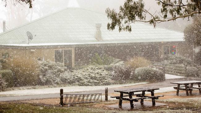 Snow falls at Mt Macedon. Picture: Mark Stewart