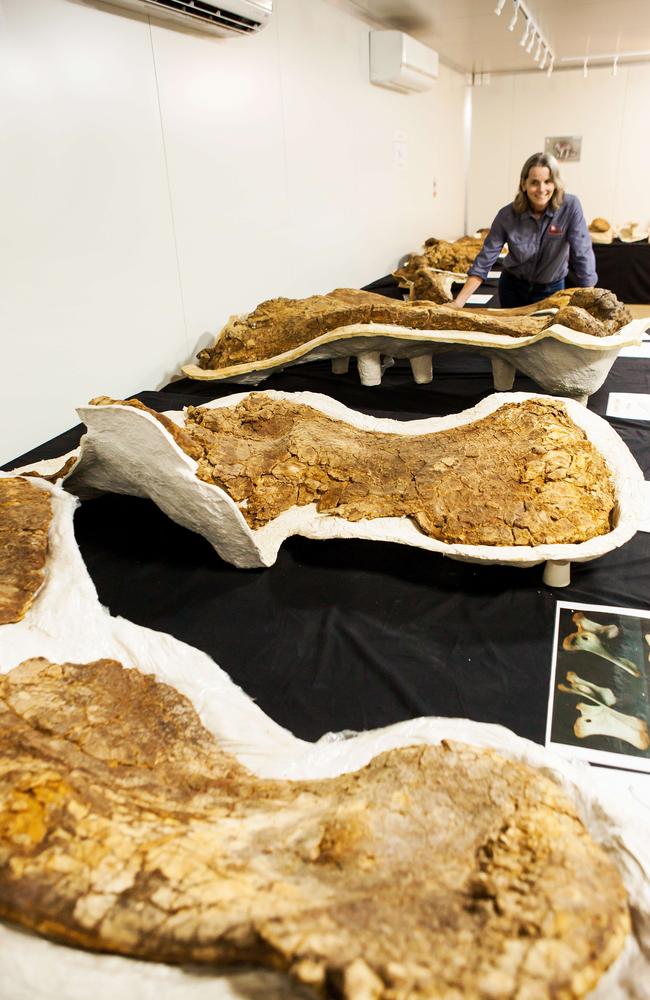 Robyn Mackenzie with fossils. Picture: Steve Young