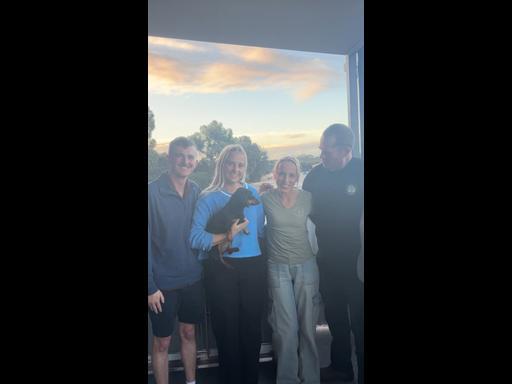 Valerie reunited with her owners on KI