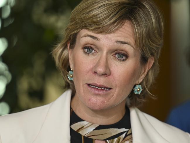 CANBERRA, AUSTRALIA - NCA NewsWire Photos - MAY 24, 2023: : Zali Steggall MP addresses the media at Parliament House in Canberra. Picture: NCA NewsWire / Martin Ollman