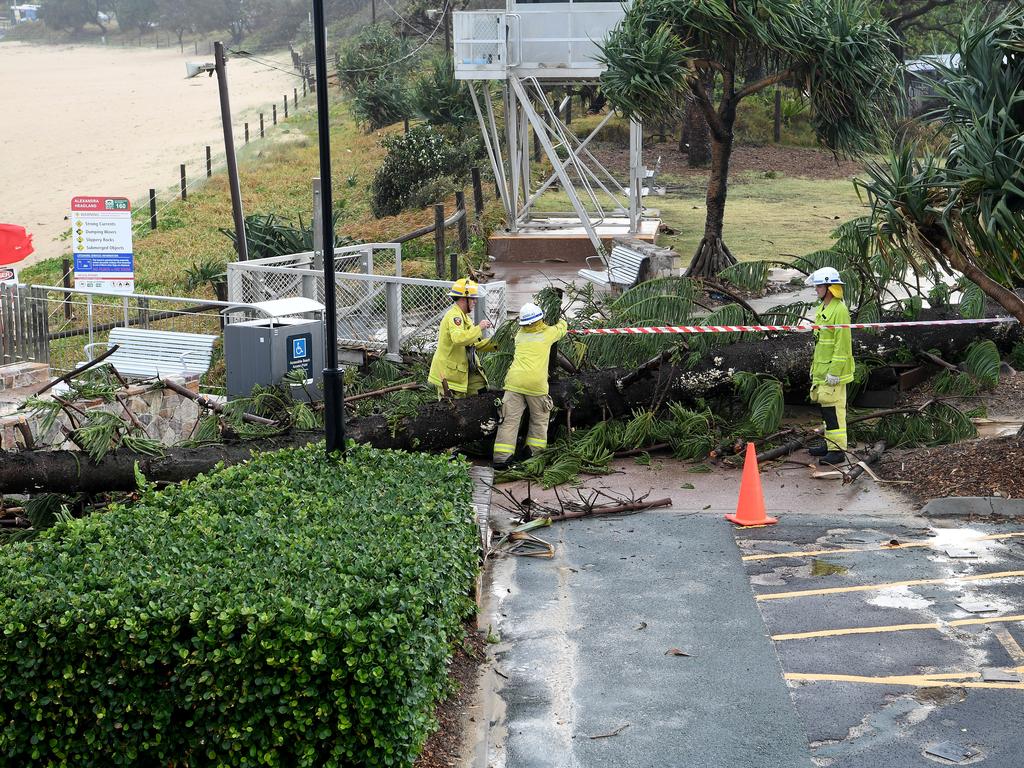 Storm over the Sunshine Coast. A large Norfolk Pine crashed down near the Alex Surf Club. The area was made safe.