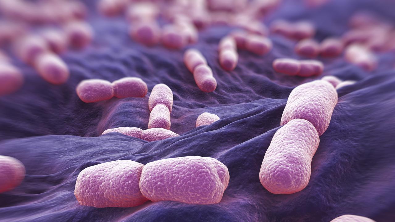 Queensland, NSW, Victoria rushing to trace origin of listeriosis ...