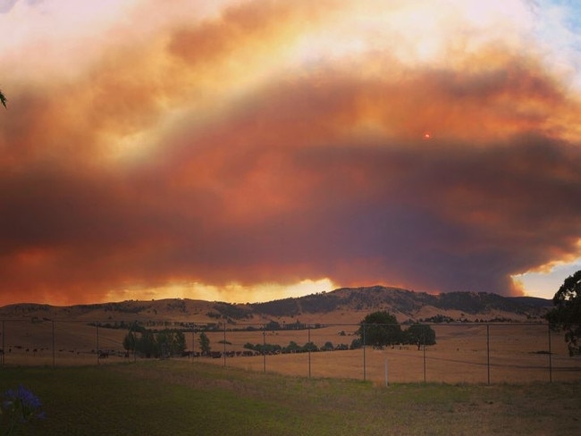 Photographs taken by country singer Fanny Lumsden as she and her family evacuated from Tooma, which sits between the Dunns Road and Walwa fires.