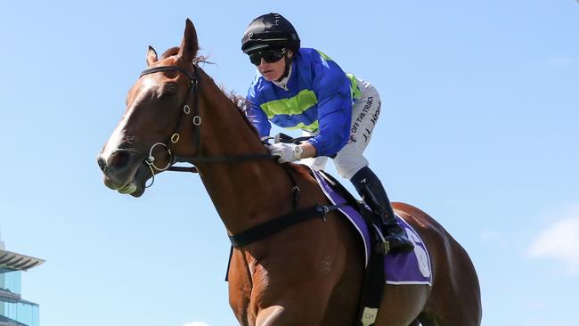 Another Wil has snuck into the field for the Group 3 Doncaster Prelude at Rosehill on Saturday, Picture: George Sal/Racing Photos via Getty Images