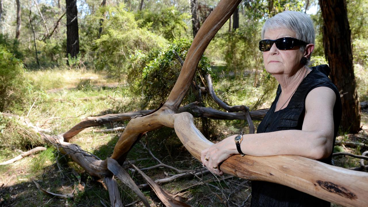 Carol-Ann Lang fears someone walking along the track at Croydon’s Eastfield Park could be struck by a falling tree. Picture: Steve Tanner