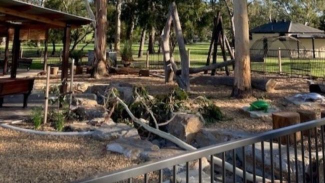 The tree branch that fell on Anna and her daughter. Picture: 7News