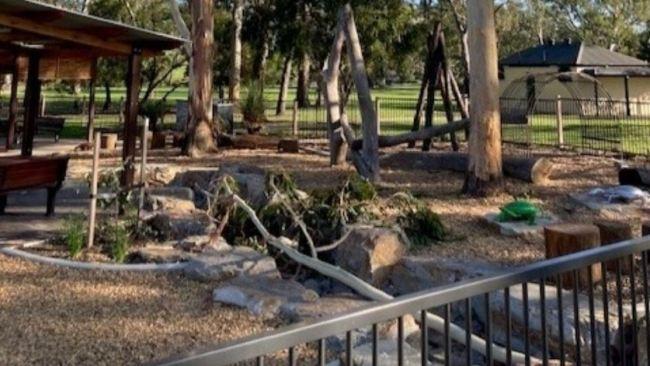 The tree branch that fell on Anna and her daughter. Picture: 7News