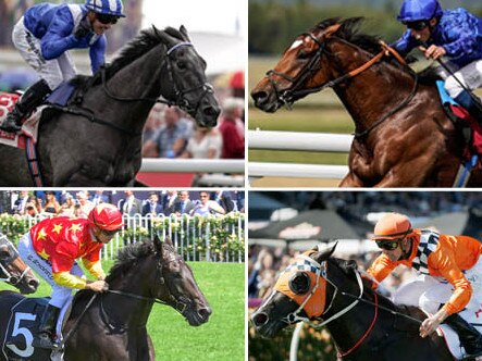 Struggling to pick a Melbourne Cup winner? Let us do the hard work for you.