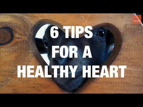 6 Tips For a Healthy Heart. Credit — VARIOUS via Storyful