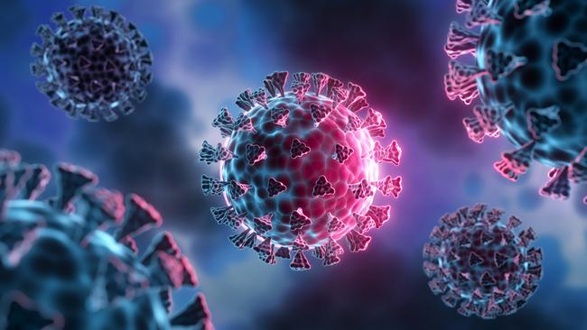 The QoVAX study, the largest of its type in Australia, is examining how people’s immune systems respond to vaccines and to the virus itself.