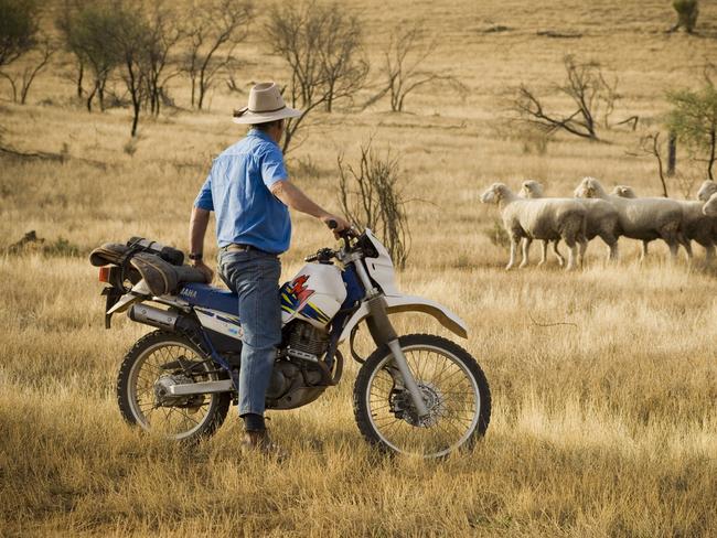 $2k in fines: Rangers crack down in South Burnett’s forestry