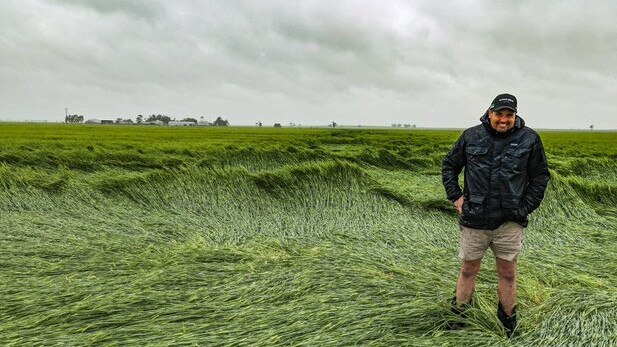 Agronomist Josh Merrett in a paddock of compass barley. Picture: Phil Lintern, AGSPEC Australia