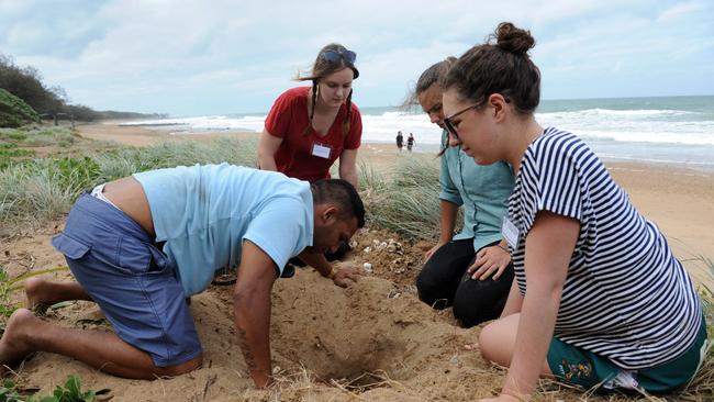 Ranger Malachi Johnson with volunteers Katherine Bree from Melbourne, Bec Cherubin from Bowen and Alice McNeill from Brisbane, recover hatchling loggerhead turtles on Mon Repos.