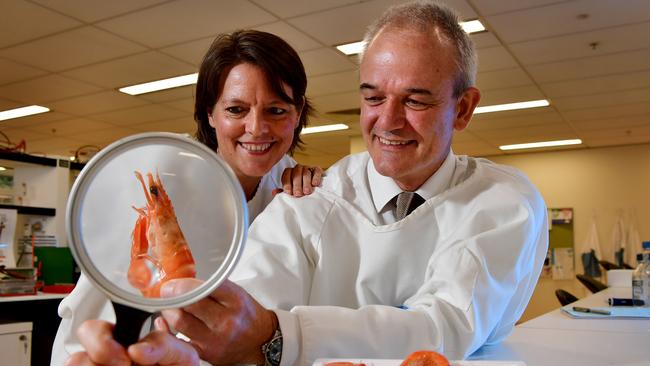 Prawn gel probe spawns hope for back pain breakthrough