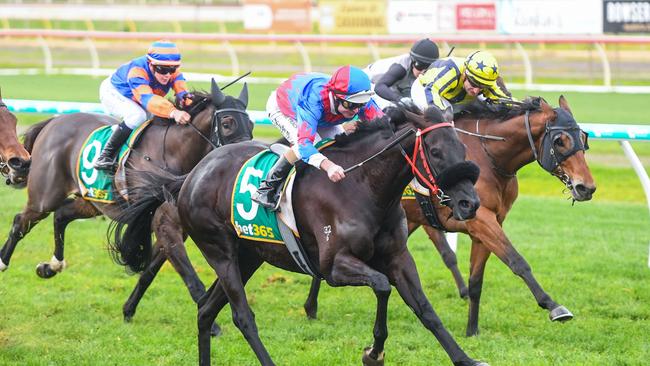 SIG Sports Investments has taken a 14.6 per cent equity stake in the $570m Australian listed betting company PointsBet. Picture: Brett Holburt/Racing Photos via Getty Images