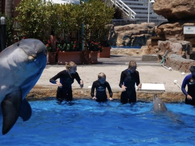 An A1 photo bomb by a dolphin. Picture: Awkward Family Photos