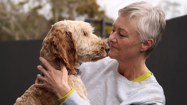 Diane Jessup with Oscar, a rescued labradoodle after the RSPCA shut down Tasmanian Labradoodles. Picture: Stephanie Dalton