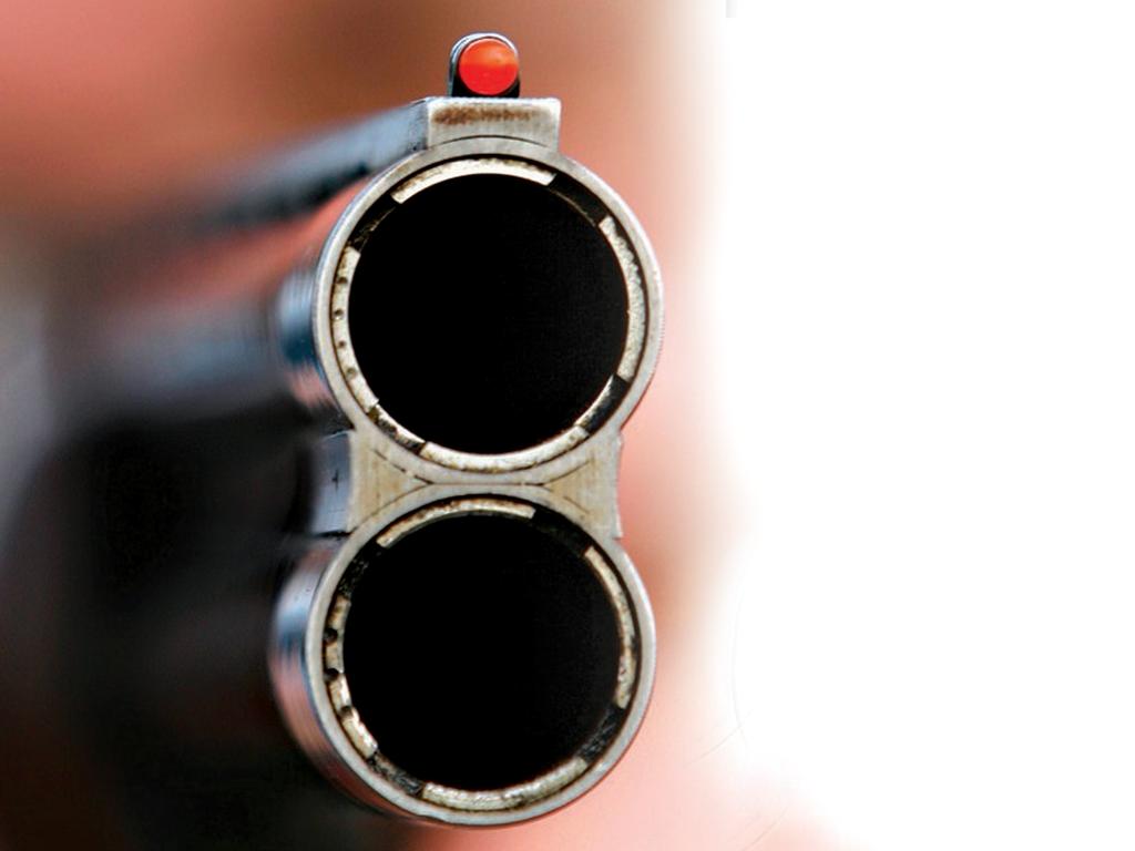 ‘Come outside b—h’: Man shoots gun at 67yo mum