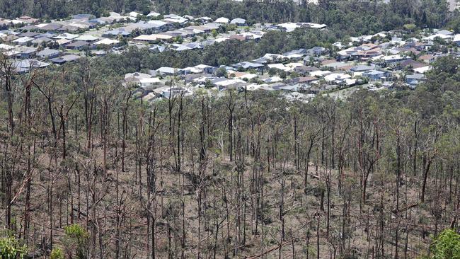 Wongawallan Drive recovers after the Xmas Storms. The hillside stripped bare by the storm.. Picture Glenn Hampson