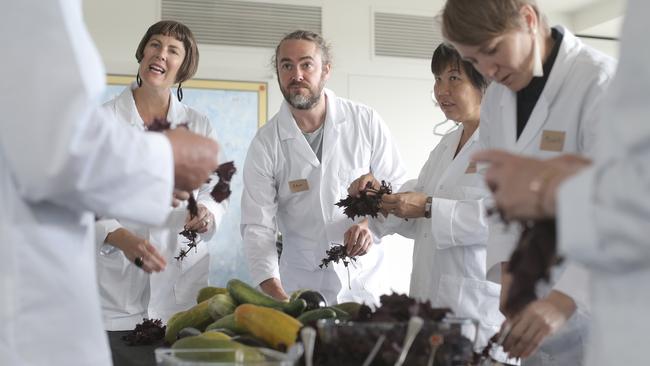 TAS WEEKEND: Fermenting expert Adam James (centre) takes a workshop at Mona Market Picture: Luke Bowden