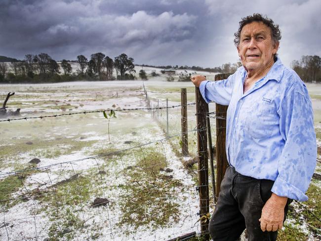 Farmer Dave Richardson stands in his paddocks that now resemble snowfields after being smashed with hail and destructive winds as a super cell storm tore through Long Flat south of Gympie. Picture: Lachie Millard