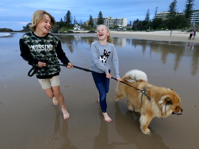 The Roberts children are also keen on the outdoors, taking their dog Stix for a run on the beach. Picture:  Nathan Edwards