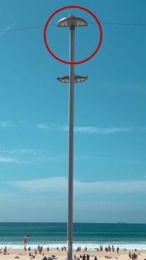 The truth behind Bondi's mysterious wire fence