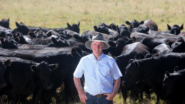 Colin Henke from Lakala Pastoral Company at Mumbannar in Victoria. Picture: Yuri Kouzmin