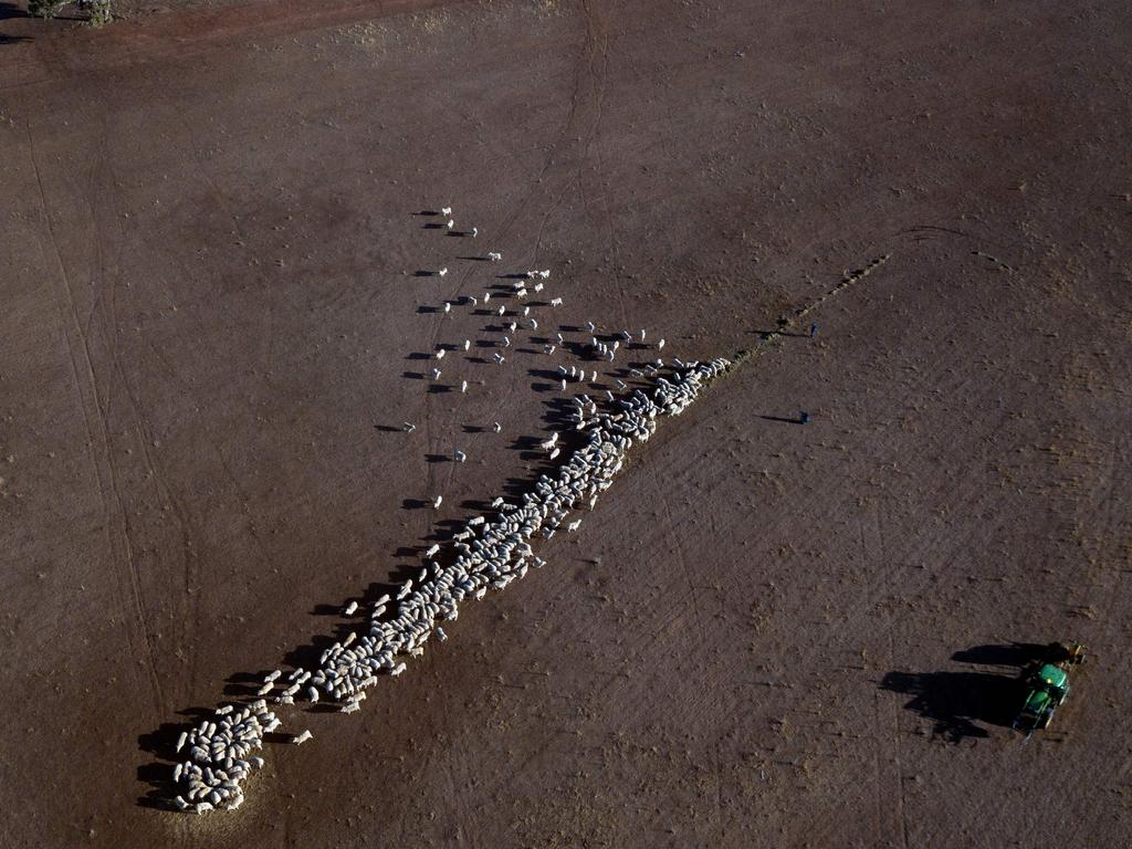 Drought-hit Quirindi in August. Picture: Glenn Nicholls/AFP