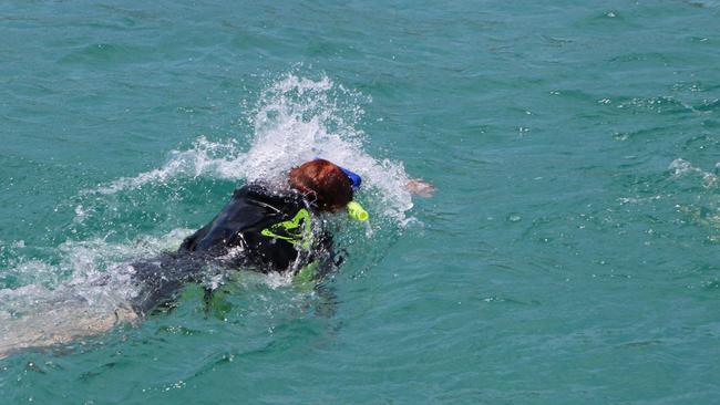 Pauline Hanson snorkelling on the Great Barrier Reef.