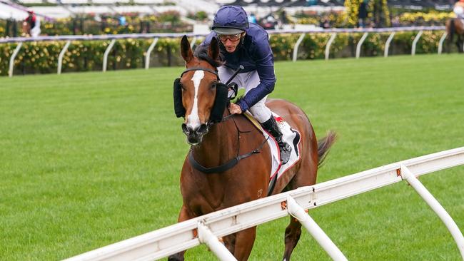 Personal is the main danger for Montefilia in the Oaks. Picture: Getty Images