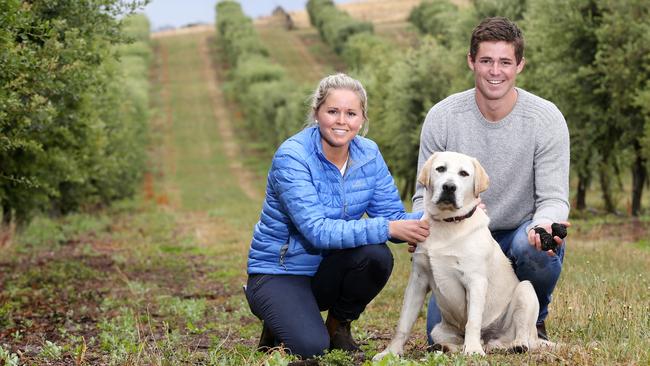 Henry and Anna with truffle dog Doug at their Deloraine farm. Picture: CHRIS KIDD