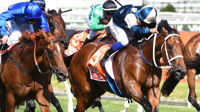 The changes to Racing NSW’s border rules won’t alter trainer Trent Busuttin’s plans with Blue Diamond winner Tagaloa.