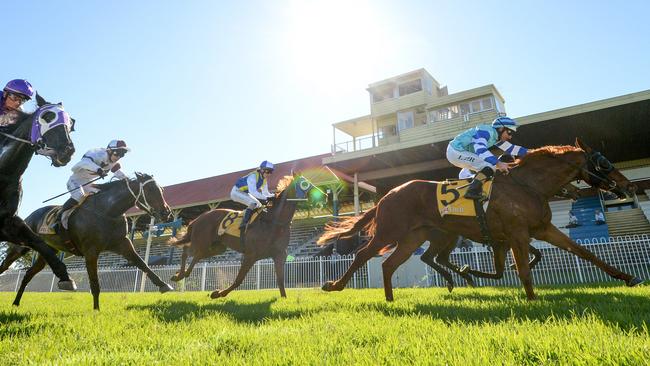 Luke Rolls brings Dwayne Schmidt-trained Delta Eagle home in race 2 on Ulmarra Cup Day at Grafton on Saturday, June 6, 2020.