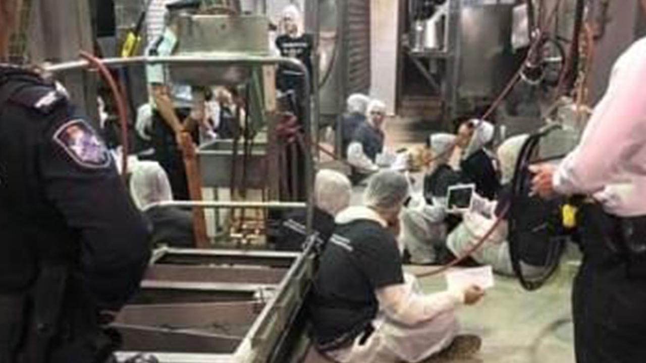 Vegan activists inside the Carey Brothers Abattoir.