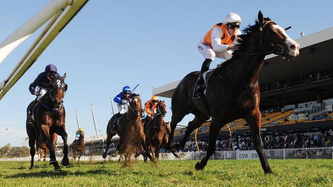 Menari has the class to overcome a wide gate in the Run To The Rose. Picture: Simon Bullard
