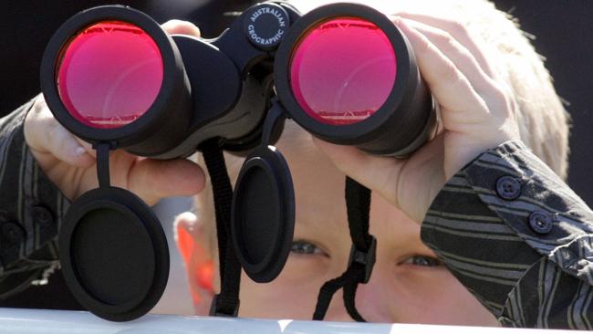 Corey Munce watching his father Chris at Randwick in 2005. Picture: Mark Evans