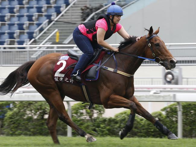 Buffering works on the turf course at Sha Tin on Tuesday. Picture: Supplied