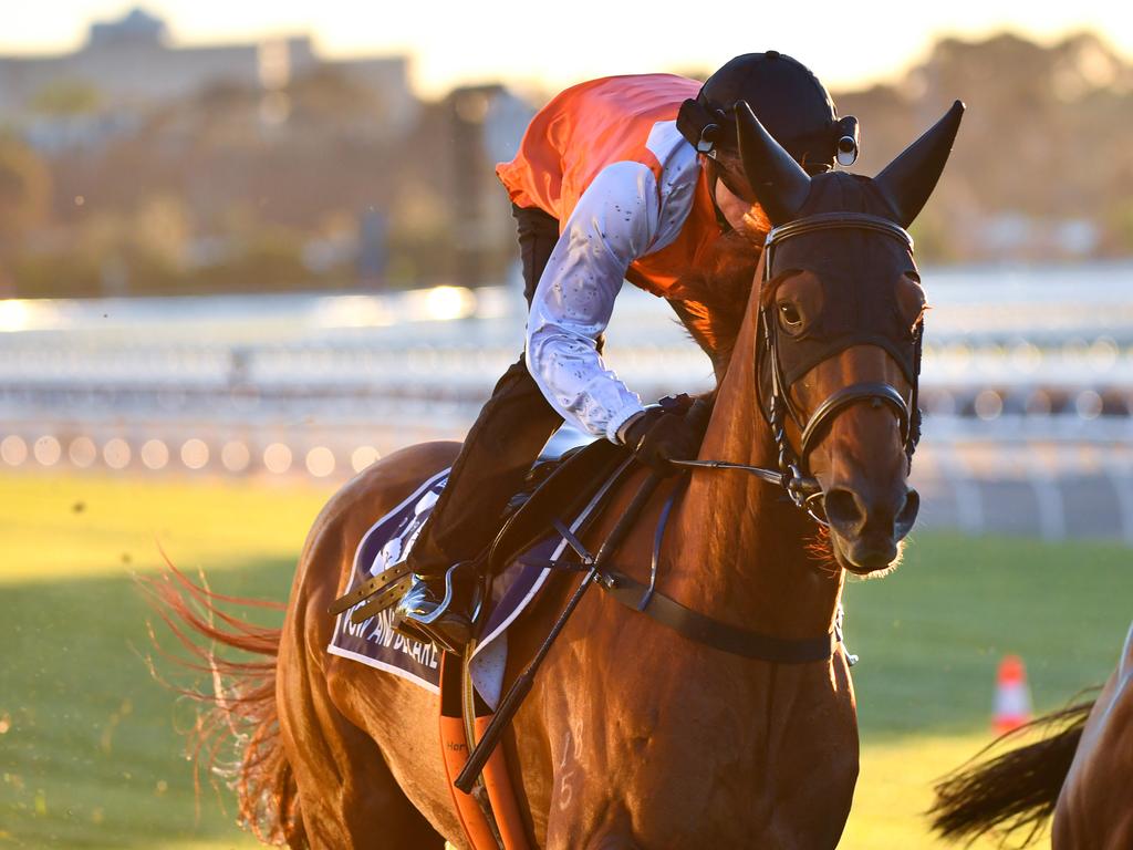 Craig Williams rides Vow And Declare. (AAP Image/Vince Caligiuri)