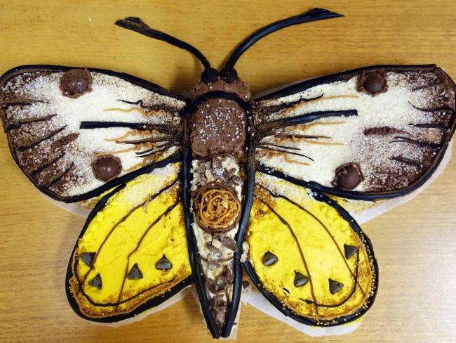 The critically endangered golden sun moth created by cesar Australia.