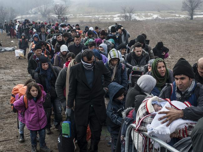 Migrants and refugees wait for security check after crossing the Macedonian border into Serbia, near the village of Miratovac, on January 29, 2016.   More than one million migrants and refugees crossed the Mediterranean Sea to Europe in 2015, nearly half of them Syrians, according to the UN refugee agency, UNHCR. The International Organisation for Migration said las week that 31,000 had arrived in Greece already this year. / AFP PHOTO / ARMEND NIMANI