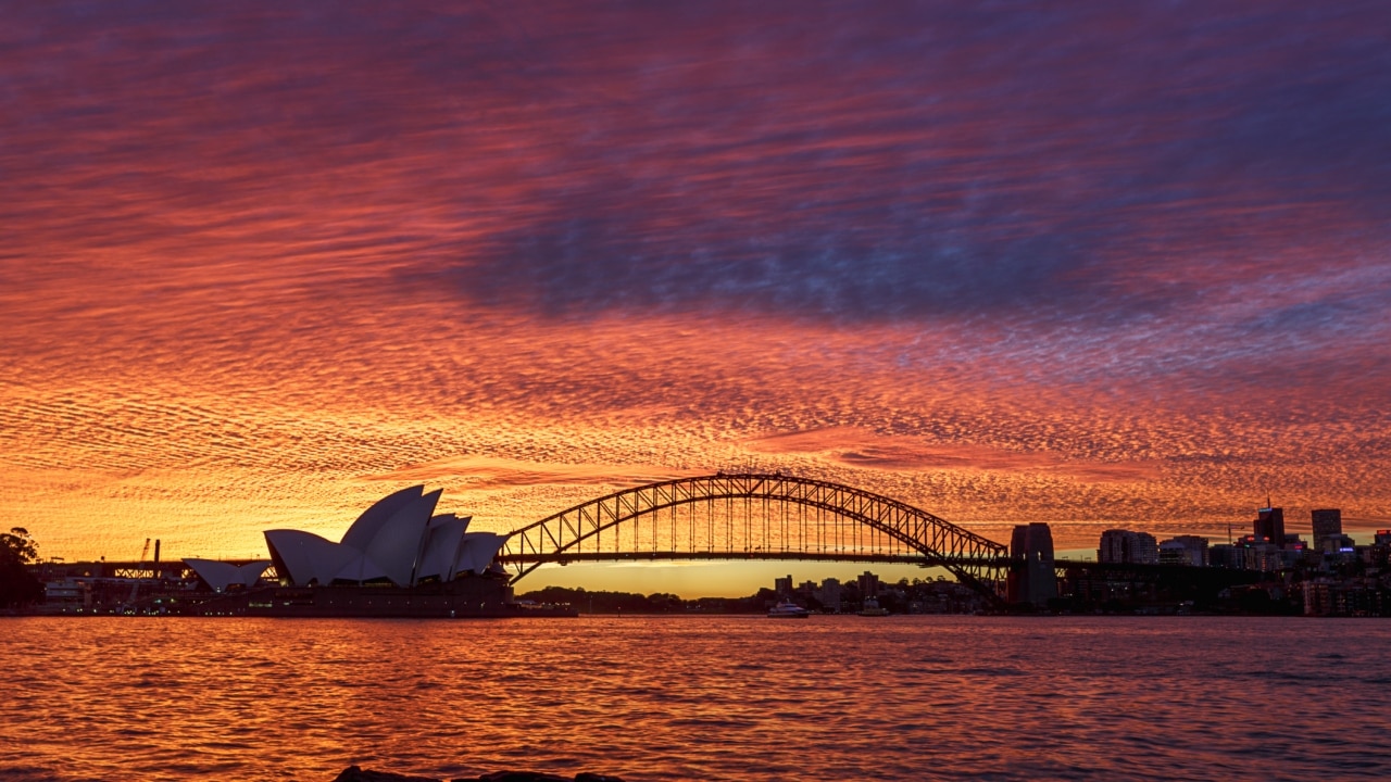 Best Sydney Harbour Dinner Cruises With Travello | Escape.com.au