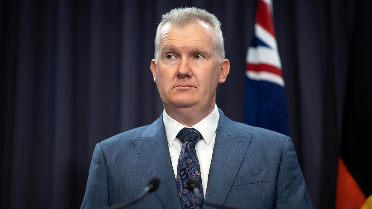 Bolt: Cancelling Israeli influencer’s visa shows Albanese Govt is an enemy of free speech