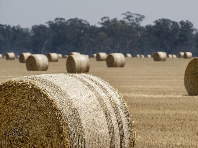generic hay bale photos. hay bales in a paddock. harvest. farming. farm life. regional victoria. Picture: ZOE PHILLIPS