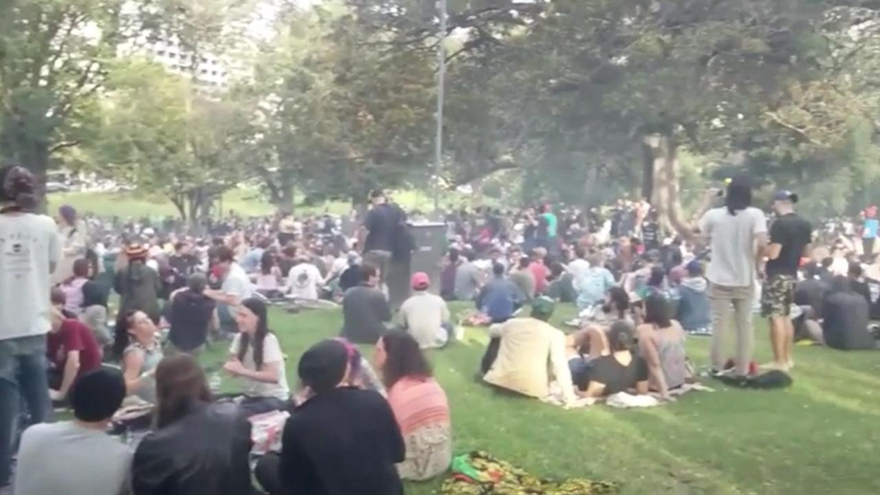 420 pot rally at Flagstaff Gardens   