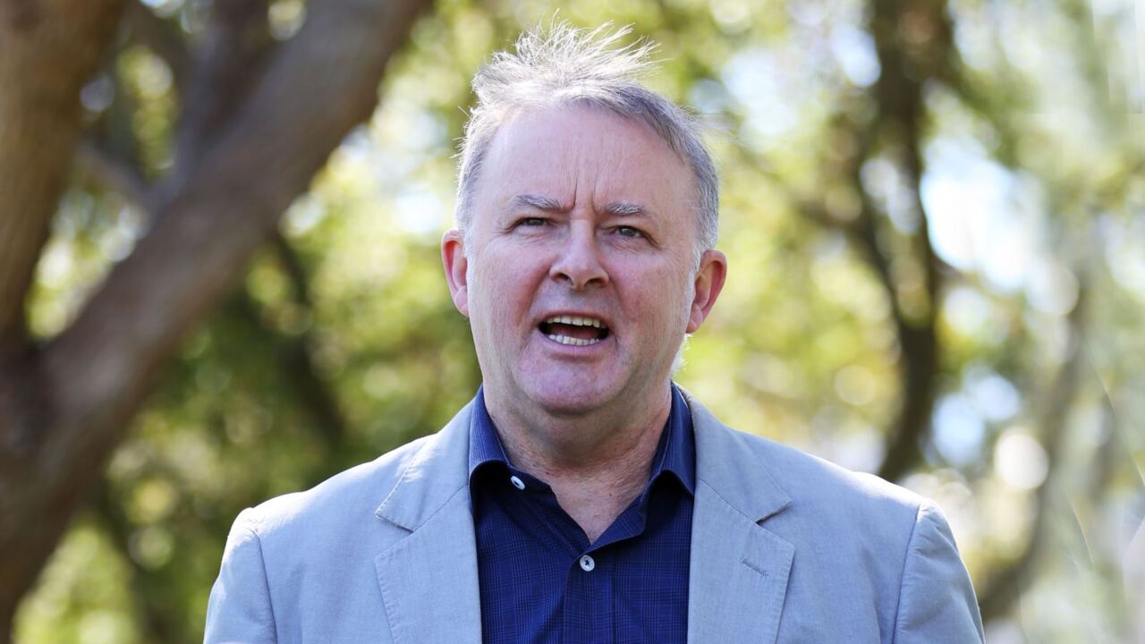 Albanese brought the 'energy' he 'needed' to Labor campaign launch