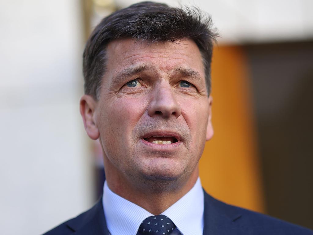 Energy Minister Angus Taylor said the new net zero plan would save Australians thousands of dollars. Picture: NCA NewsWire / Gary Ramage