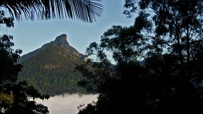 The view from Gymea House Eco-Retreat. Picture: Stayz.