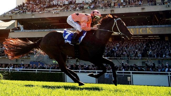 Black Caviar wins the 2011 TJ Smith Stakes at Royal Randwick.