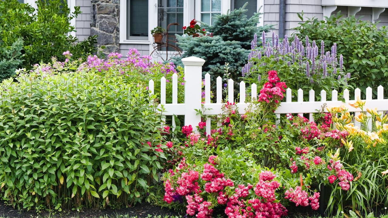 Tidying up the garden and adding more plants can help buyers form a connection with the property.